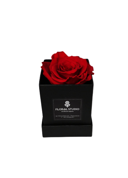 Forever Roses